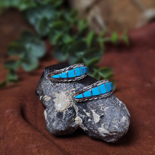 Sleeping Beauty Turquoise Earrings