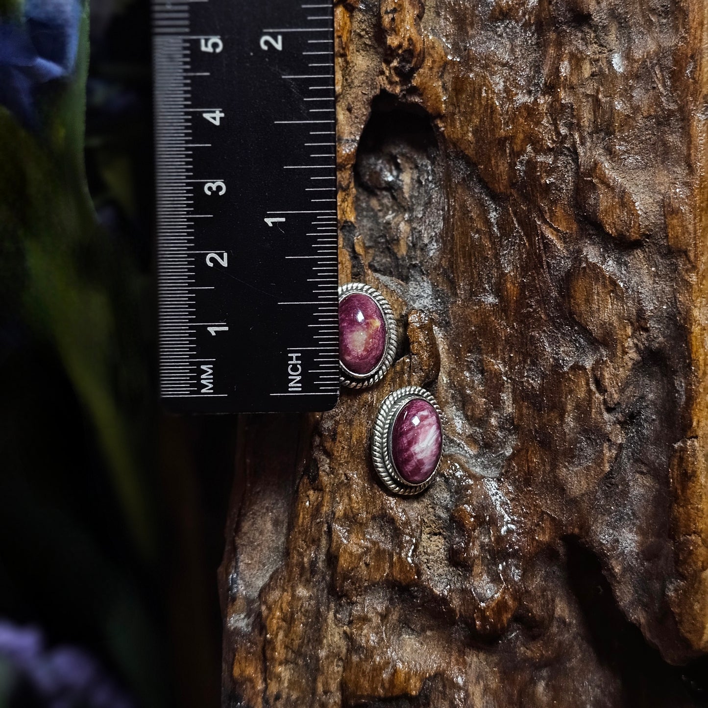 Spiny Oyster Earrings