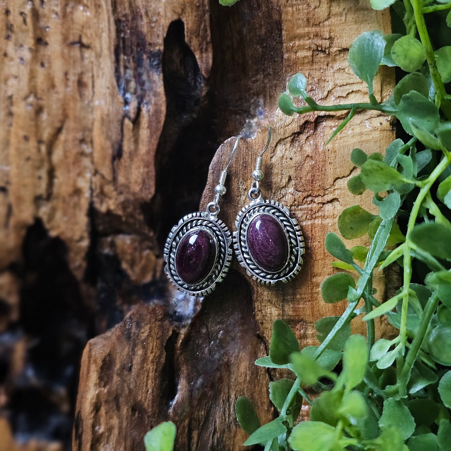 Spiny Oyster Earrings