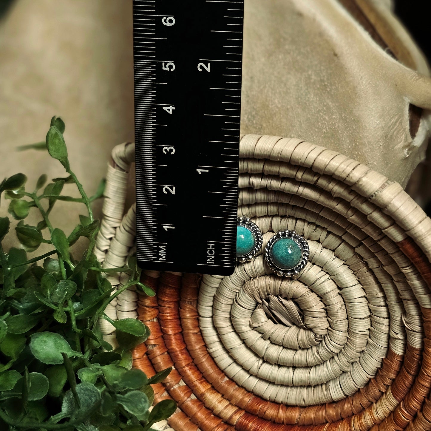 Sierra Nevada Turquoise Earrings