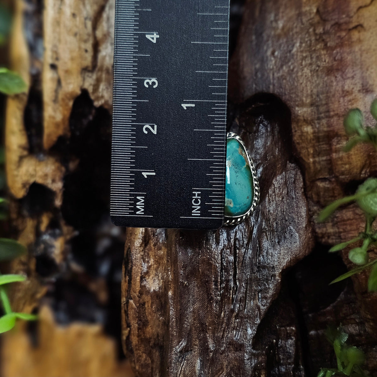 Sonoran Turquoise Earrings
