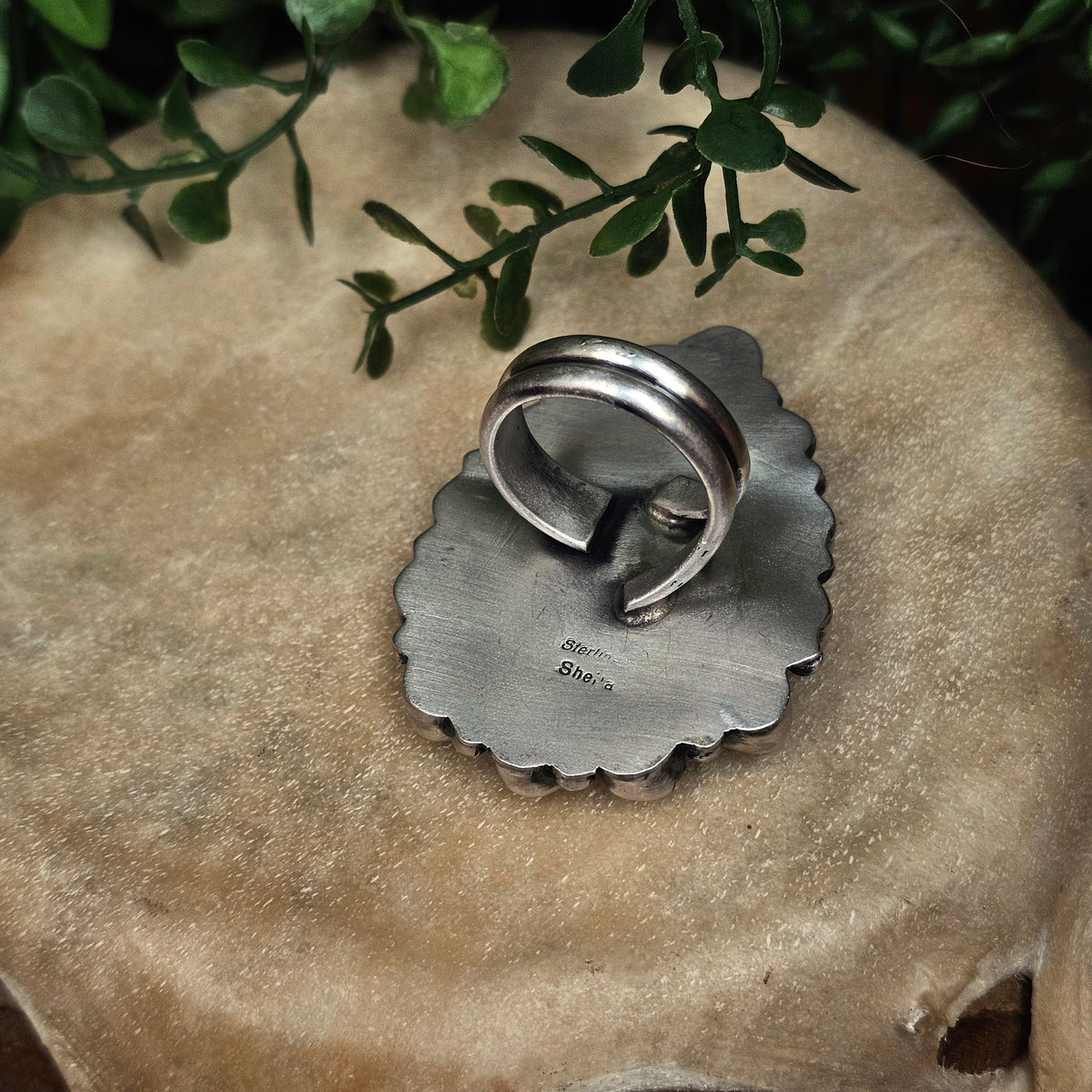 Adjustable Sonoran Turquoise ring w/ Spiny Oyster