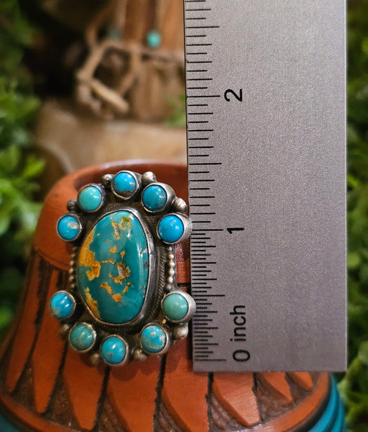 Sierra Nevada Turquoise Earrings