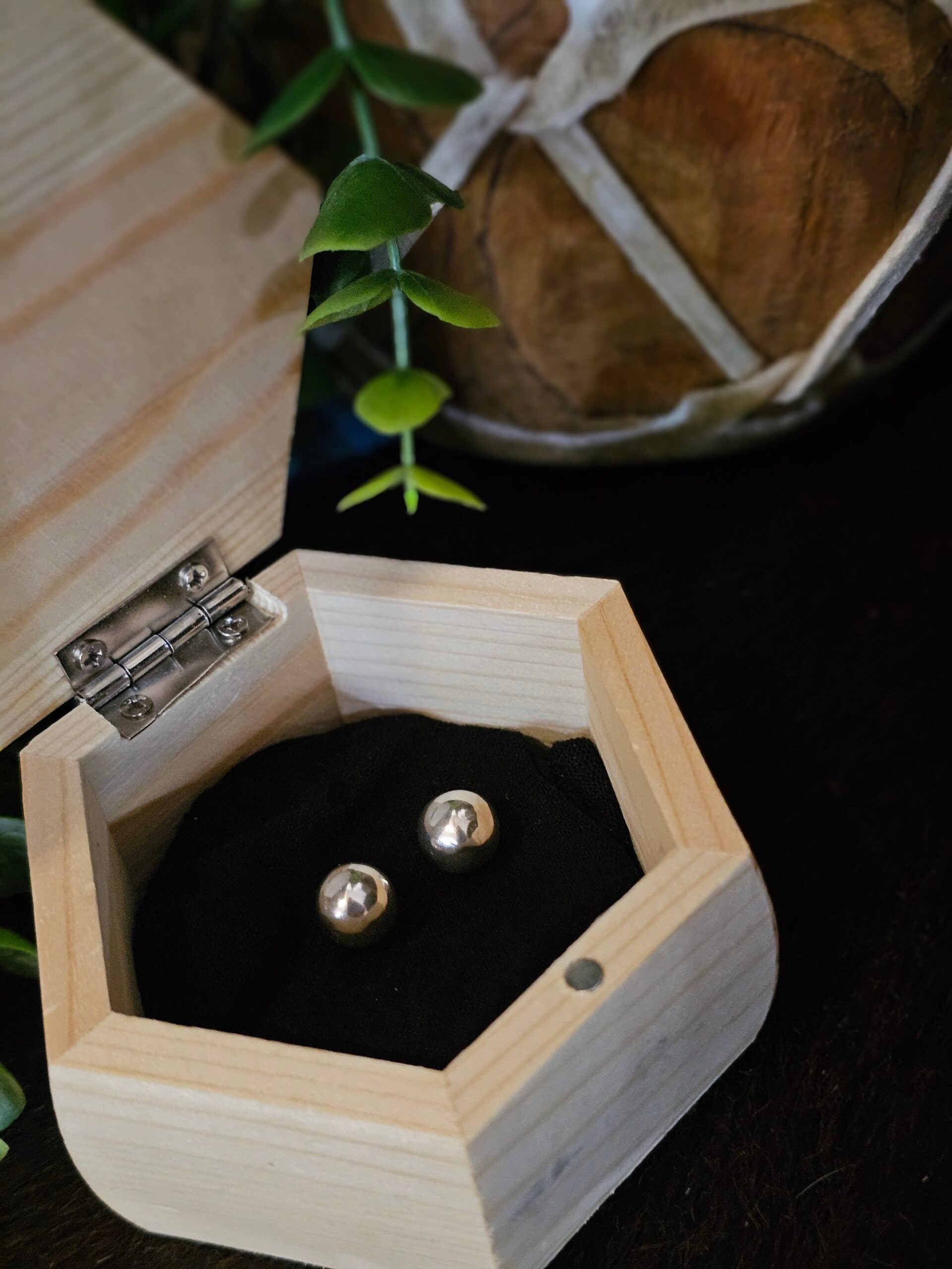 Sterling Silver Earrings