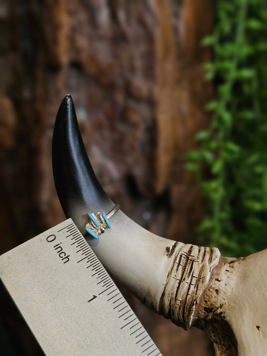 Sleeping Beauty Rings