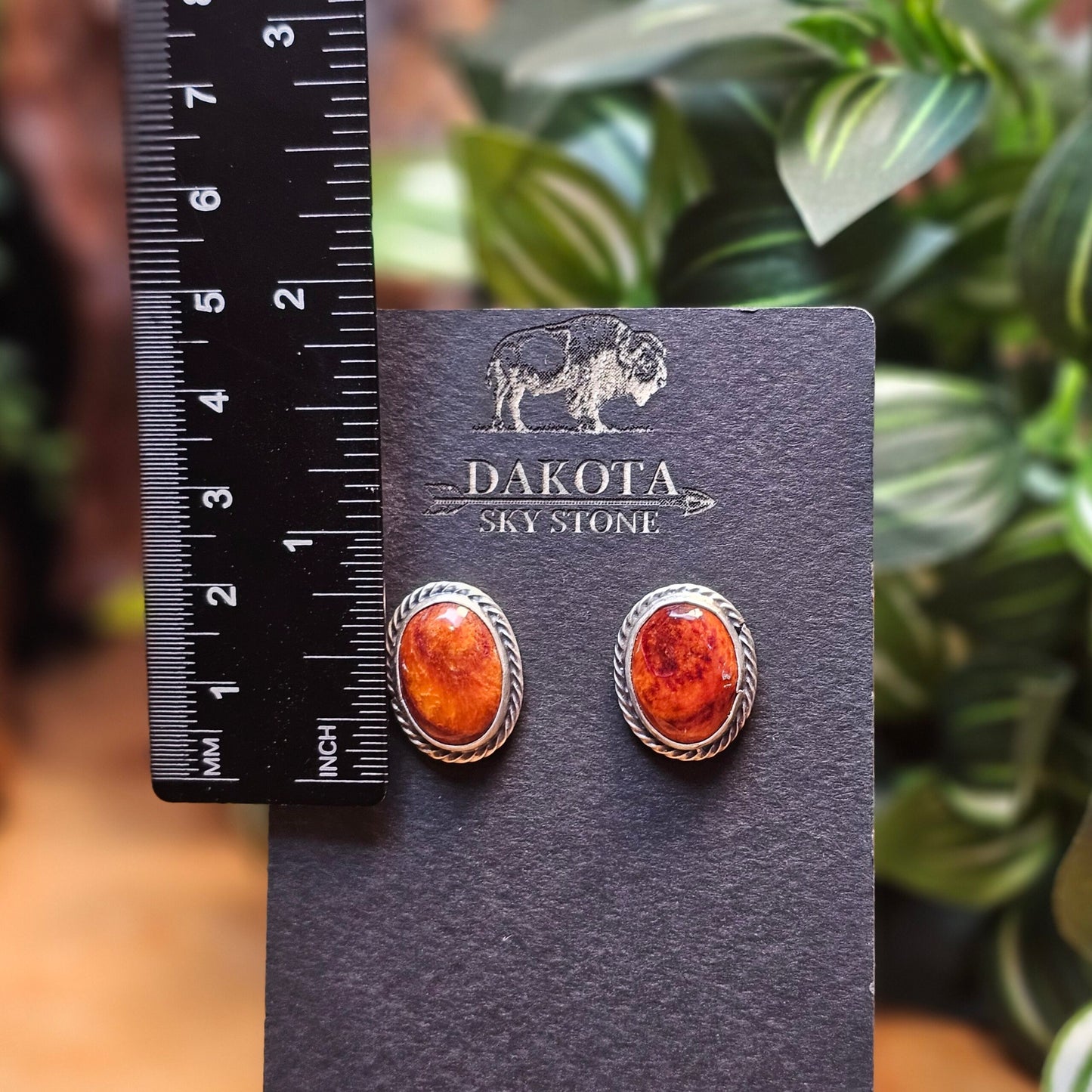 Spiny Oyster Earrings