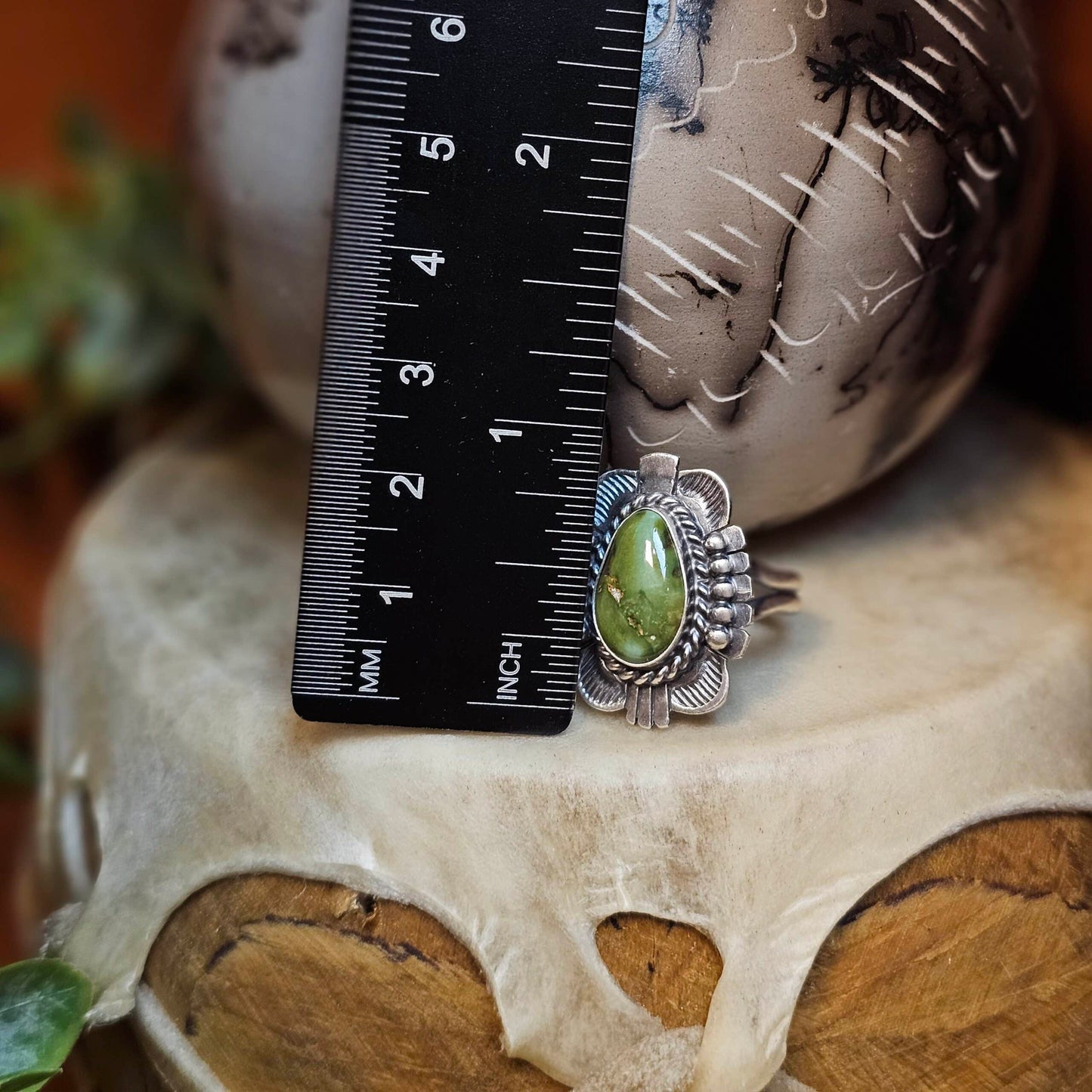 Sonoran Turquoise Ring - Size 9