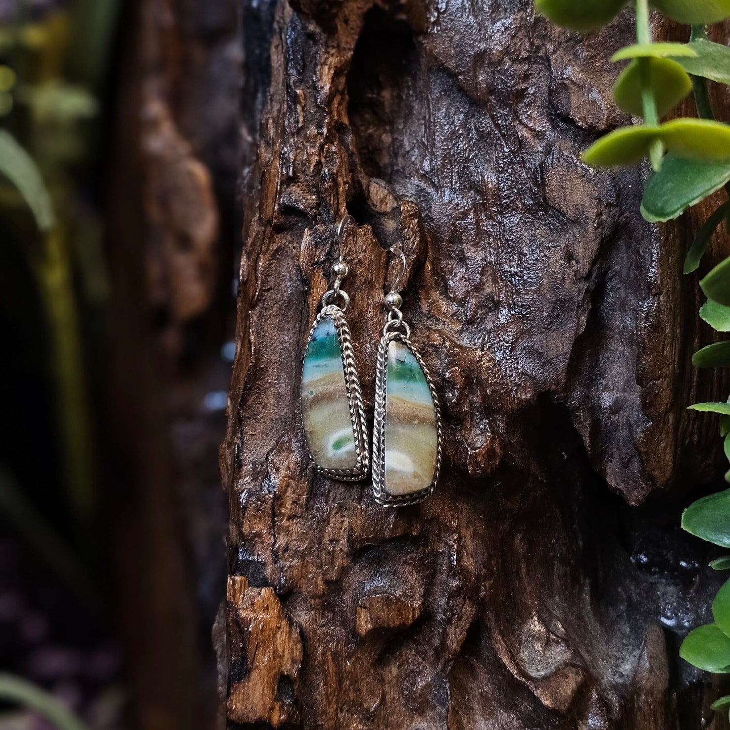 Opalized Wood Earrings