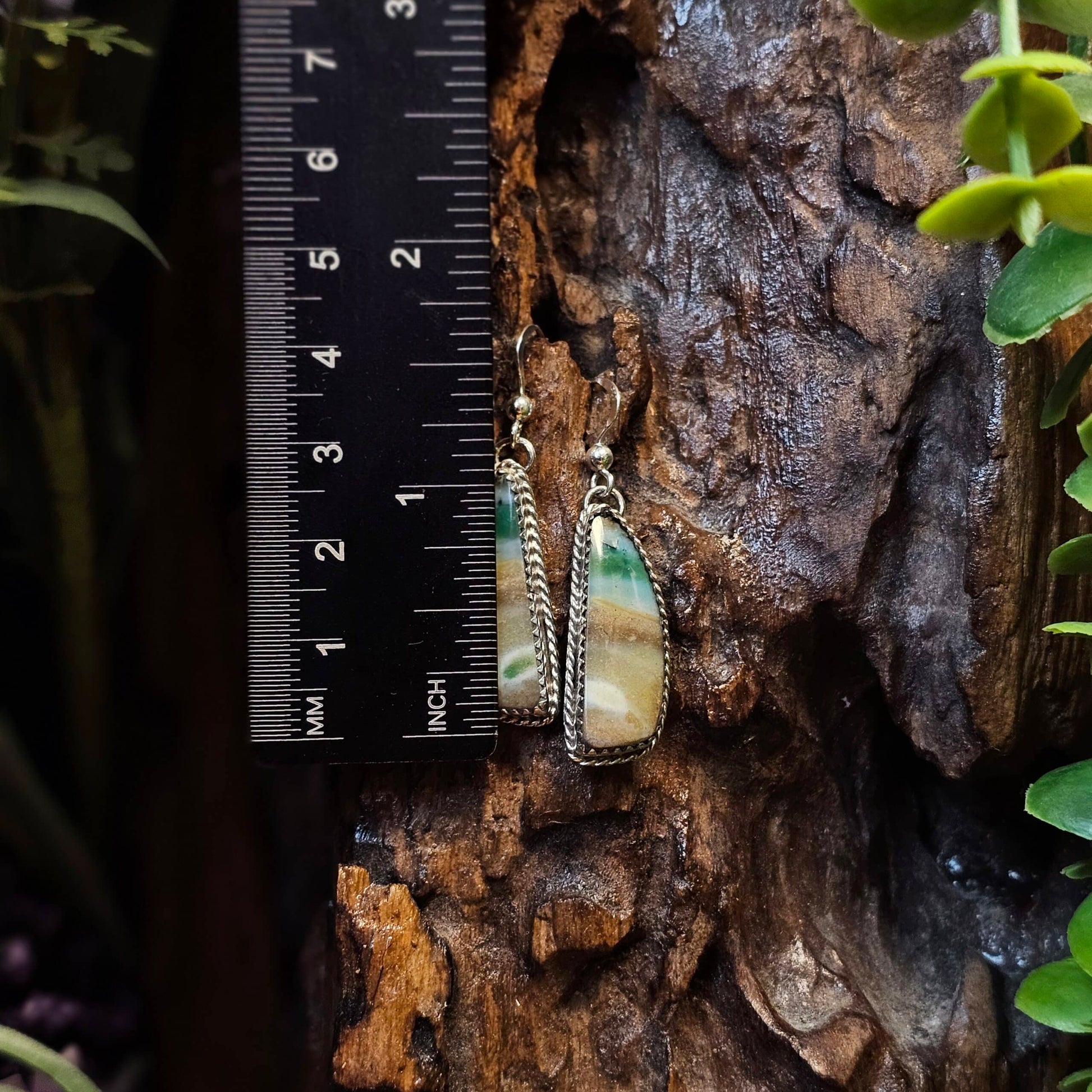 Opalized Wood Earrings