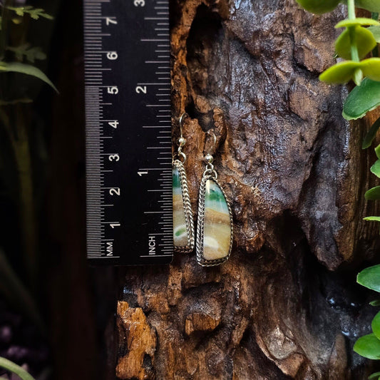 Opalized Wood Earrings