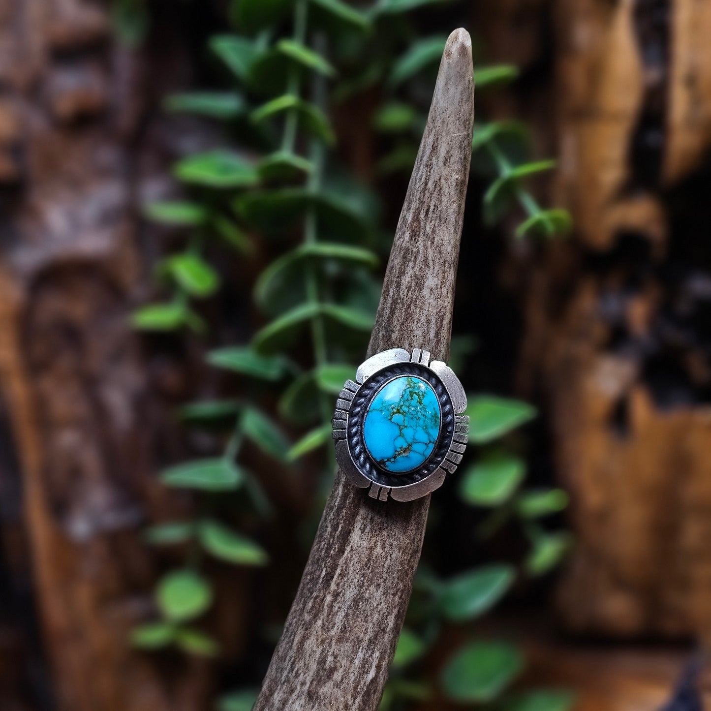 Kingman Turquoise Ring - Size 5.5