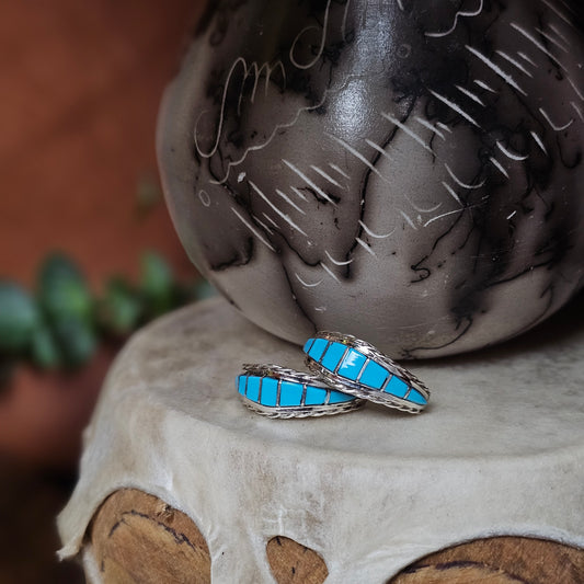 Sleeping Beauty Turquoise Earrings