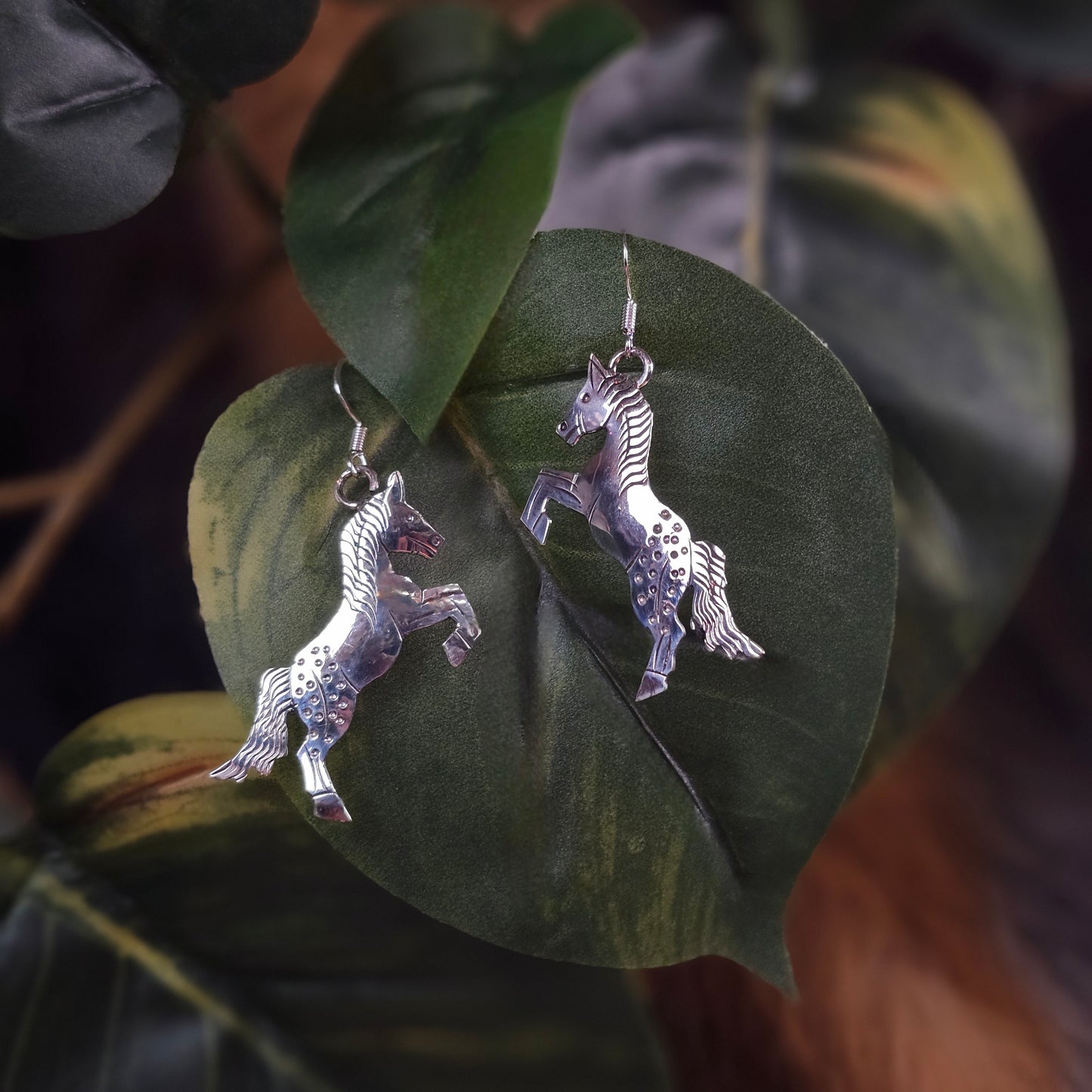 Sterling Silver Earrings
