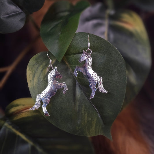 Sterling Silver Earrings