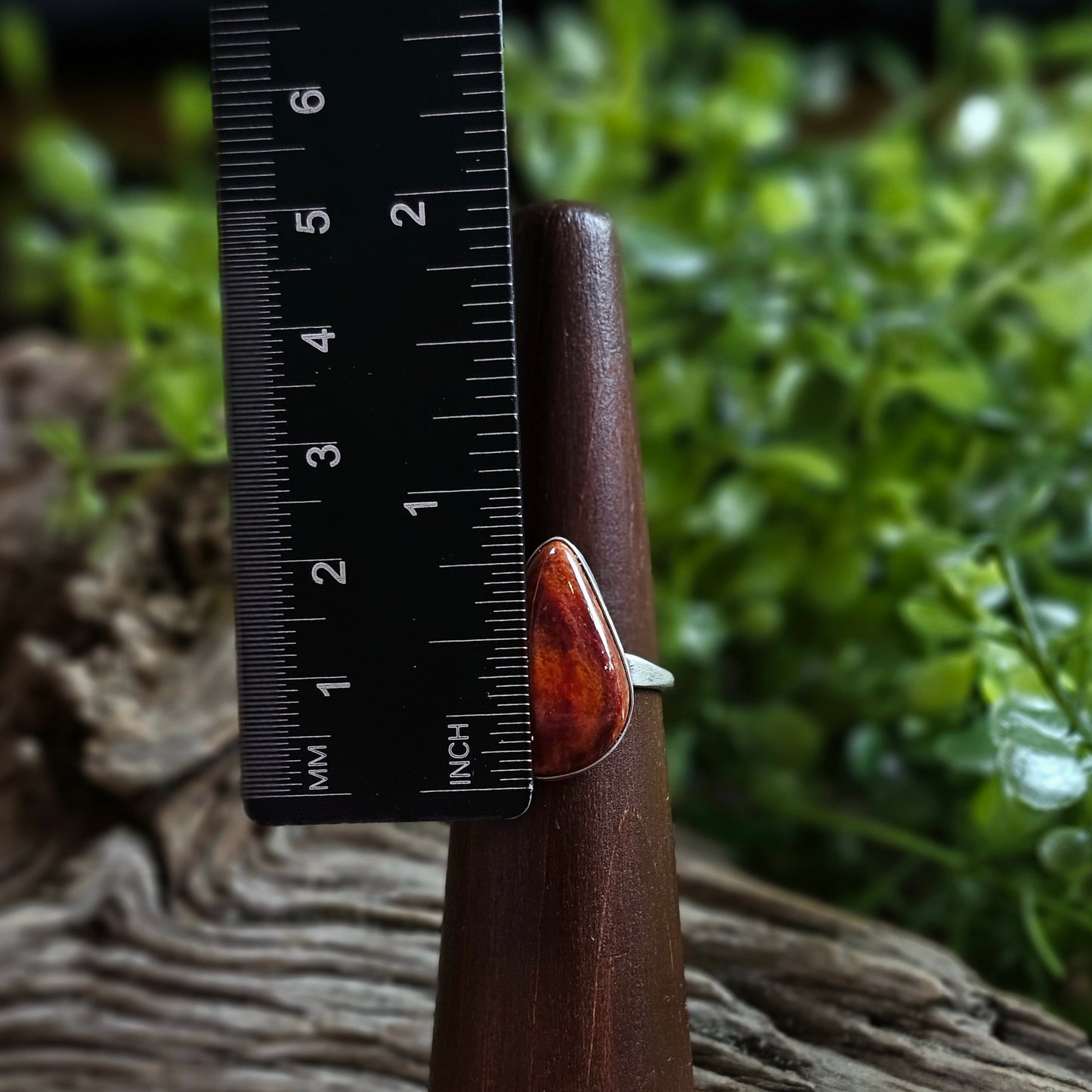 Spiny Oyster Ring - Size 8.5