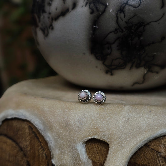 Pink Conch Earrings