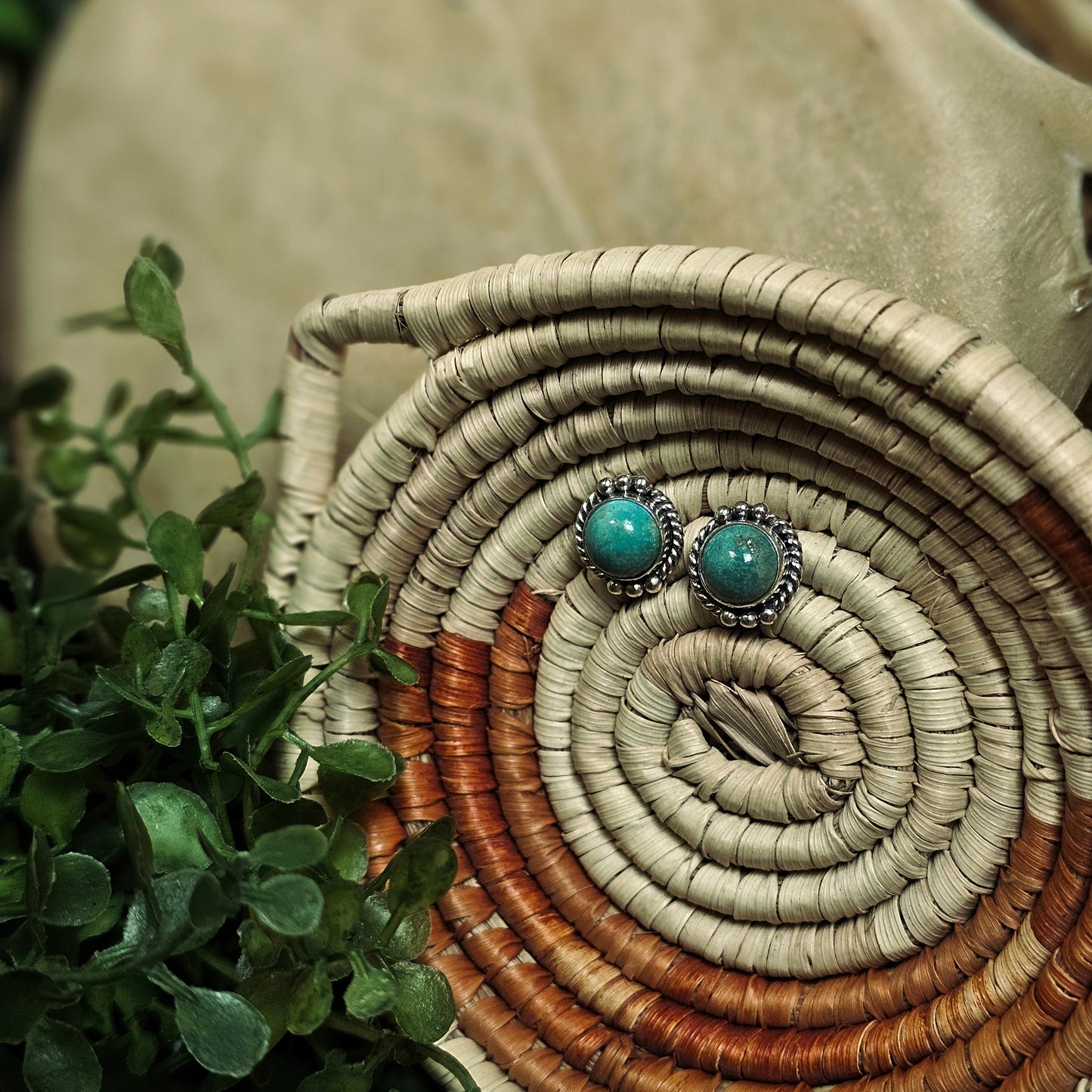 Sierra Nevada Turquoise Earrings