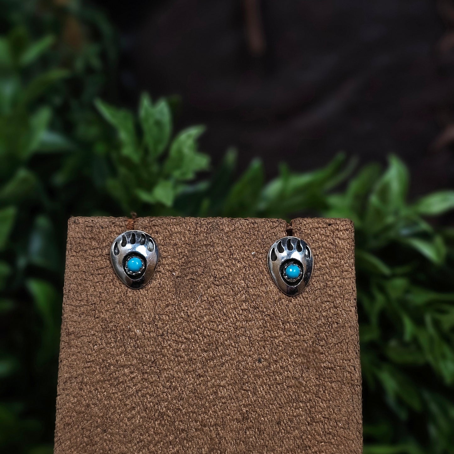 Sleeping Beauty Turquoise Earrings