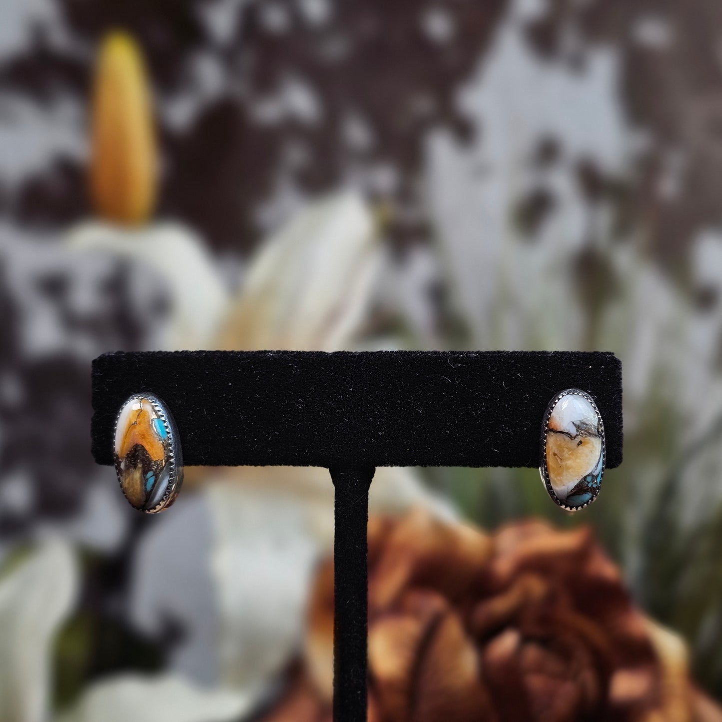 Kingman Turquoise Earrings w/ Brass and Spiny Oyster