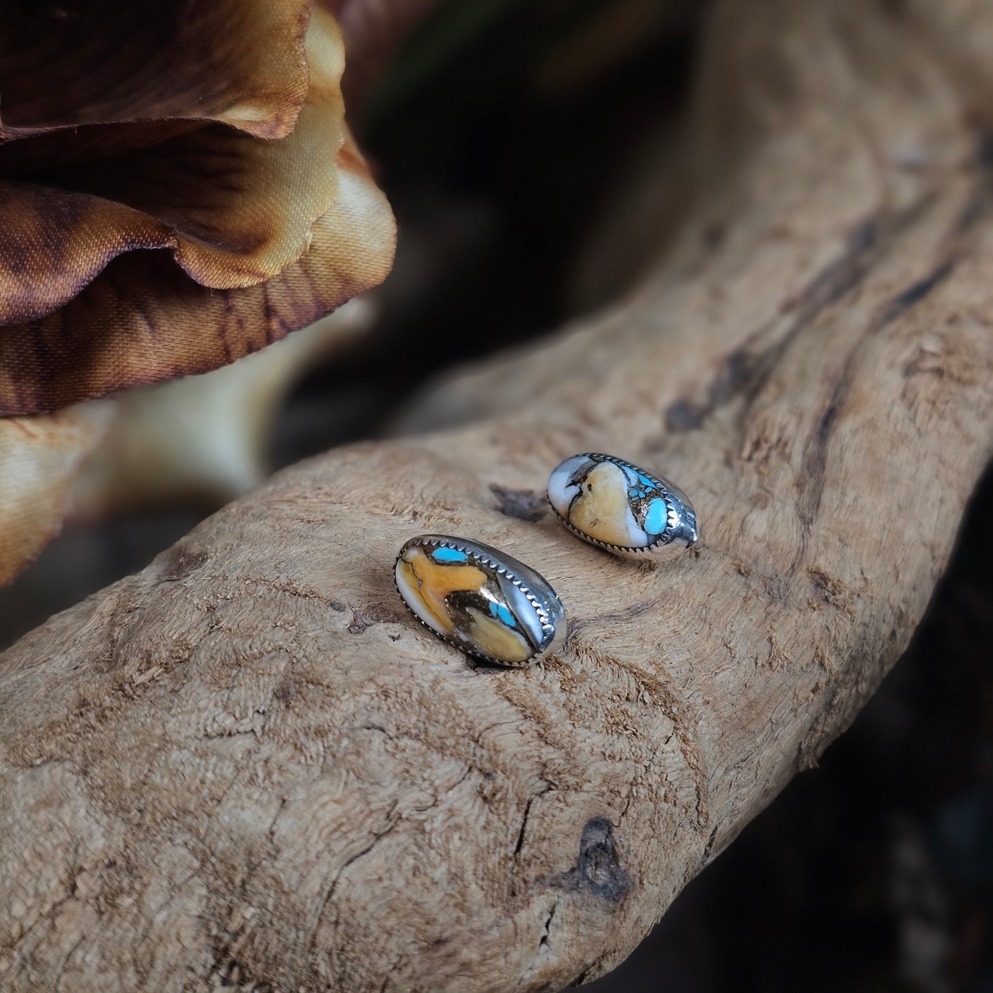 Kingman Turquoise Earrings w/ Brass and Spiny Oyster