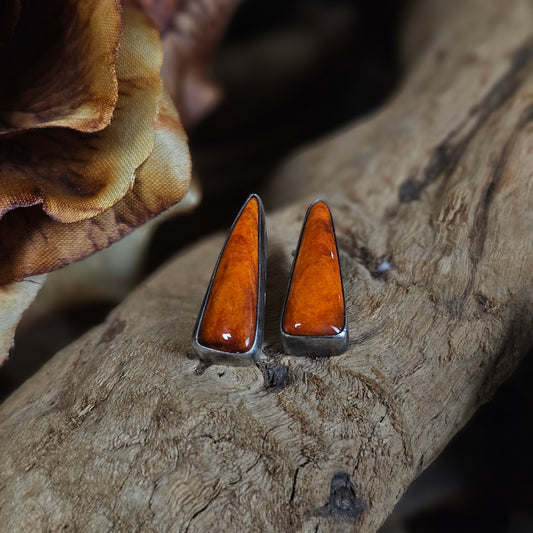 Spiny Oyster Earrings