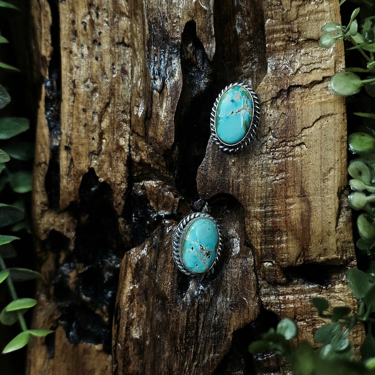 Sonoran Turquoise Earrings