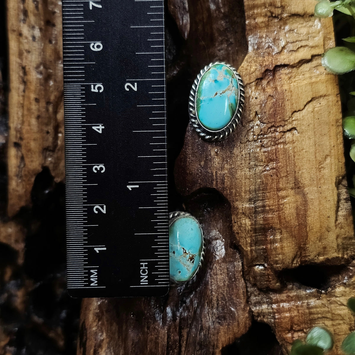 Sonoran Turquoise Earrings