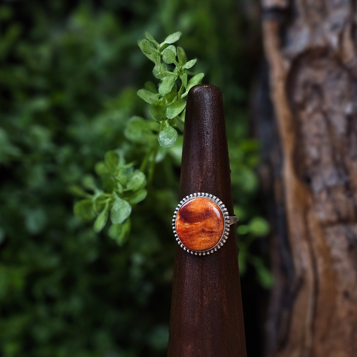 Spiny Oyster Ring - Size 8.5