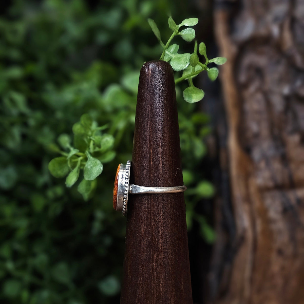 Spiny Oyster Ring - Size 8.5