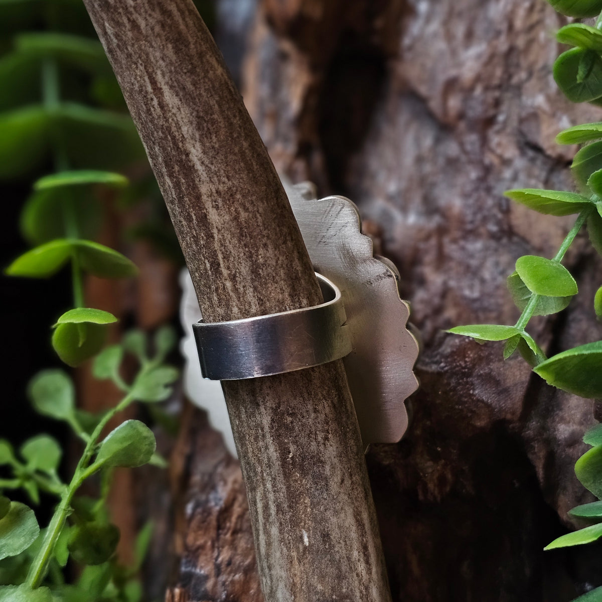 Adjustable Spiny Oyster Ring