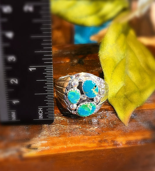 Sierra Nevada Turquoise Ring Sz. 15